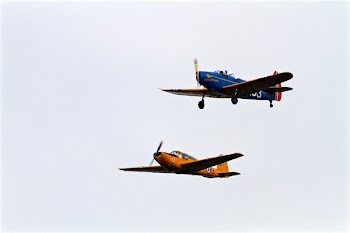 2 Planed on Flight during Daytime