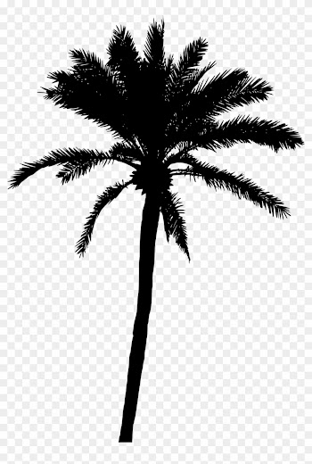 20 Palm Tree Silhouette Vol - Black Palm Tree Png