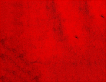 20+ Red Backgrounds - Free PSD, JPEG, PNG Format Download! | Free ...