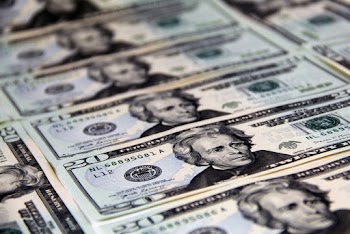 20 Us Dollar Bills