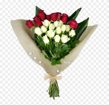 במיוחד בשבילך200 - Garden Roses
