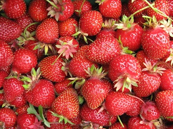 2009_0711_2328.jpg
