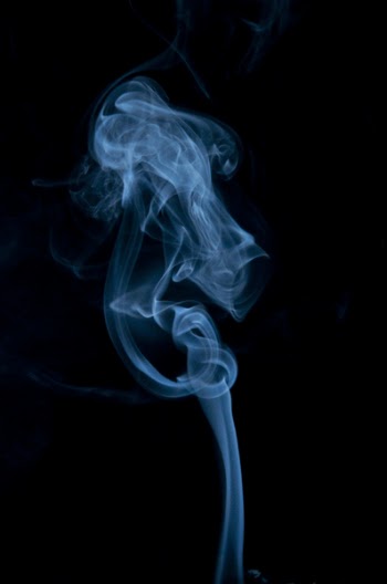 20100523_5292.jpg