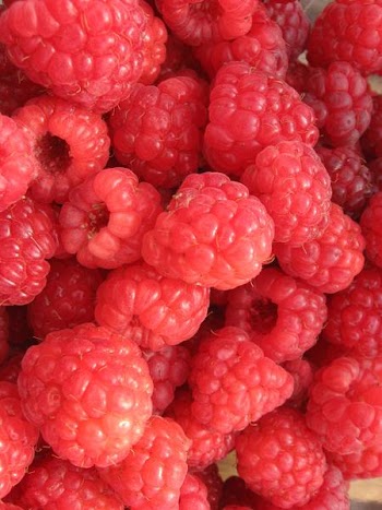2012_0826_3867.jpg