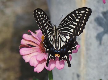 2013-08-31 09.36.16.jpg