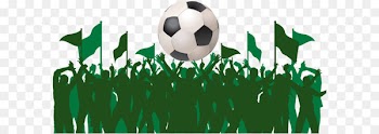 2014 FIFA World Cup Association football culture Fan - Vector Soccer fans and flags 