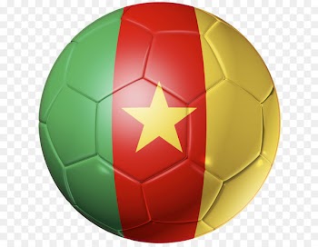 2014 FIFA World Cup Cameroon national football team Algeria national football team 1950 FIFA World Cup - Ballon foot 
