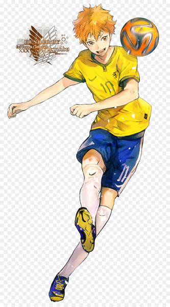 2014 FIFA World Cup Shoyo Hinata Haikyu!! Colombia national football team - Shoyo Hinata 