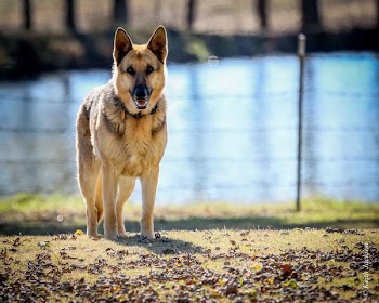 20141111-8K8A0310.jpg