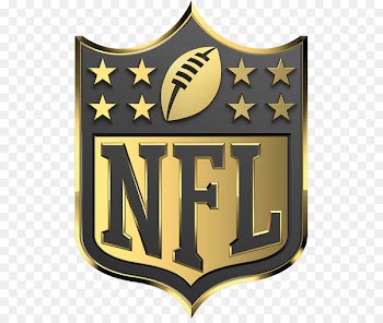 2015 NFL season Carolina Panthers New England Patriots Atlanta Falcons Super Bowl - NFL 