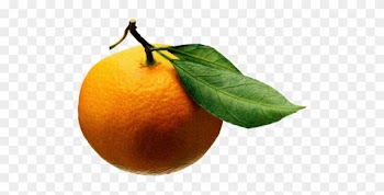 2015 Ucr Orange Blossom Ball - Orange Fruit Leaf Png