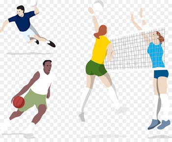 2016 Summer Olympics Volleyball Euclidean vector Motion - Basketball Volleyball Handball Player 