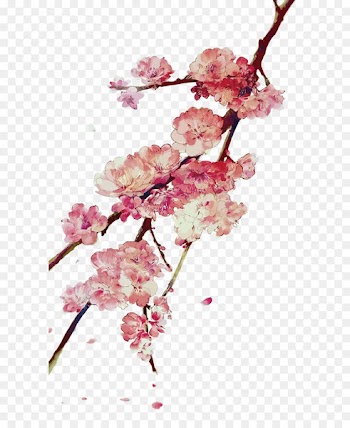 2017 MINI Cooper Blossom - Vector plum blossom 