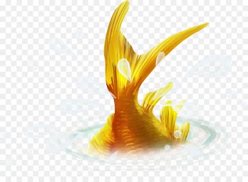 2018 Burning Man Carassius auratus Fish Clip art - Carp fish 