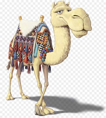 2018, Dromedary, Desktop Wallpaper, Camel, Camelid PNG