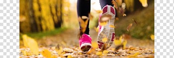2018 Greater Washington Heart Walk Health Care Walking Physical fitness, Parry Sound transparent background PNG clipart