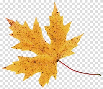 2018 Nissan LEAF Autumn, autumn leaves transparent background PNG clipart