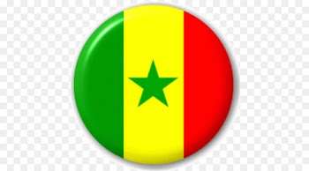 2018 World Cup Senegal national football team 2018 FIFA World Cup qualification – UEFA Group H Flag of Senegal - Russia 