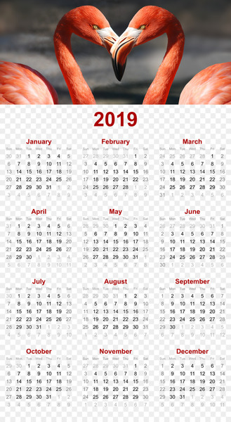2019 printable calendar - flamingo romantic design - others 