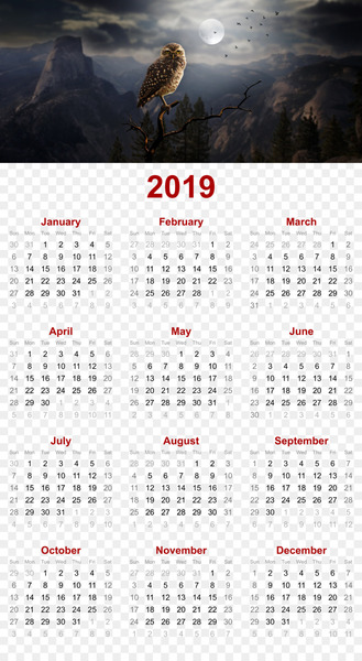 2019 printable calendar - owl in night design.png - others 