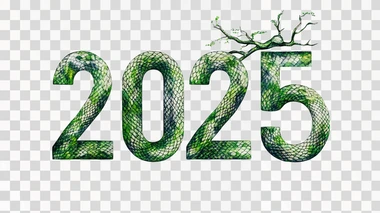 2025 with green tree snake print