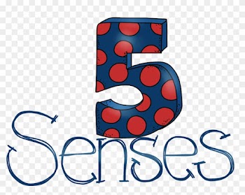 23 Feb 2017 - 5 Senses Word