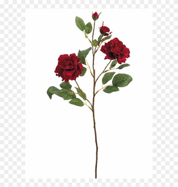 24" Rose Of Sharon Spray Red - Silk Plants Direct Rose Spray - Red - Pack