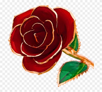 24k Gold-dipped Roses - 24 Karat Dipped Rose