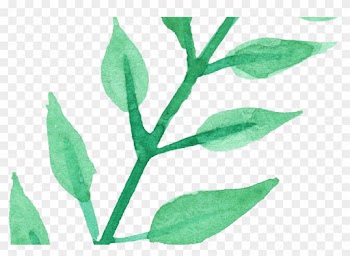 25 Watercolor Leaf Vol 3 Onlygfxcom - Transparency