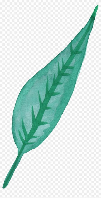 25 Watercolor - Watercolor Of A Leaf Transparent