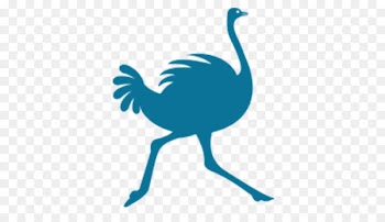 27 Boxes, Northmead, 4th Avenue, Bird, Ostrich PNG
