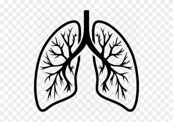 28 Collection Of Lungs Clipart Png - Lung Icon