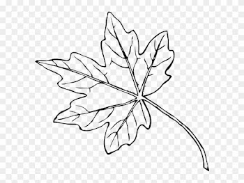 28 Collection Of Maple Tree Leaf Clipart - Fall Leaves Clip Art