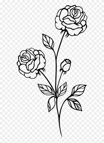 28 Collection Of Rose Clipart Black And White Transparent - Rose Plant Black And White
