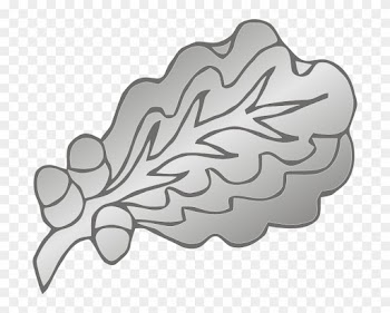 282 × 240 Pixels - Oak Leaf Cluster
