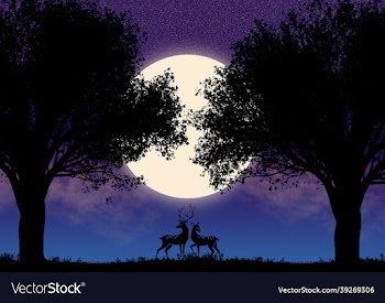 2d art design