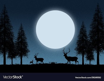 2d art design