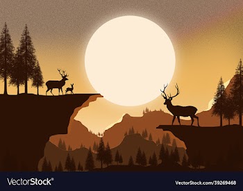 2d art design