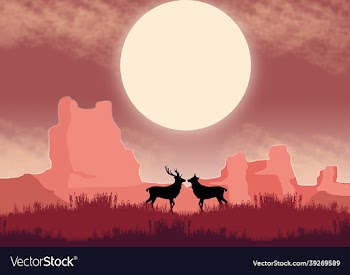 2d art design