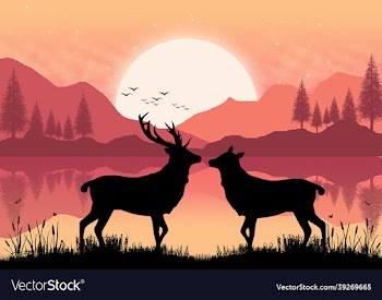 2d art design