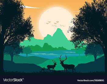 2d art design