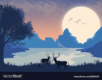 2d art design