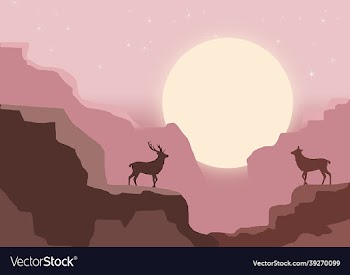 2d art design