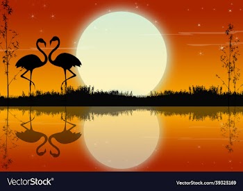 2d art design