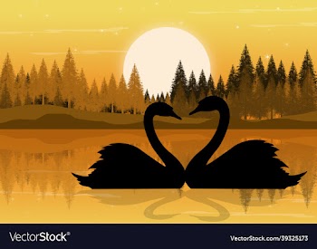 2d art design