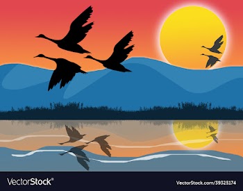 2d art design