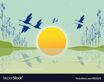 2d art design
