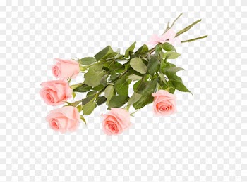 Букет Из 3 Роз Букет Из 5 Роз - Garden Roses