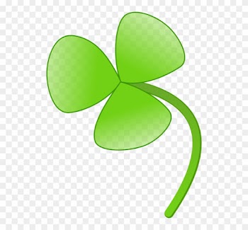 3 Leaf Clover - Flower With 3 Leaves