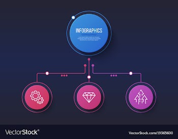  					3 options infographic design structure vector image														